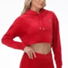 Big Bling High Low Cropped Hoodie