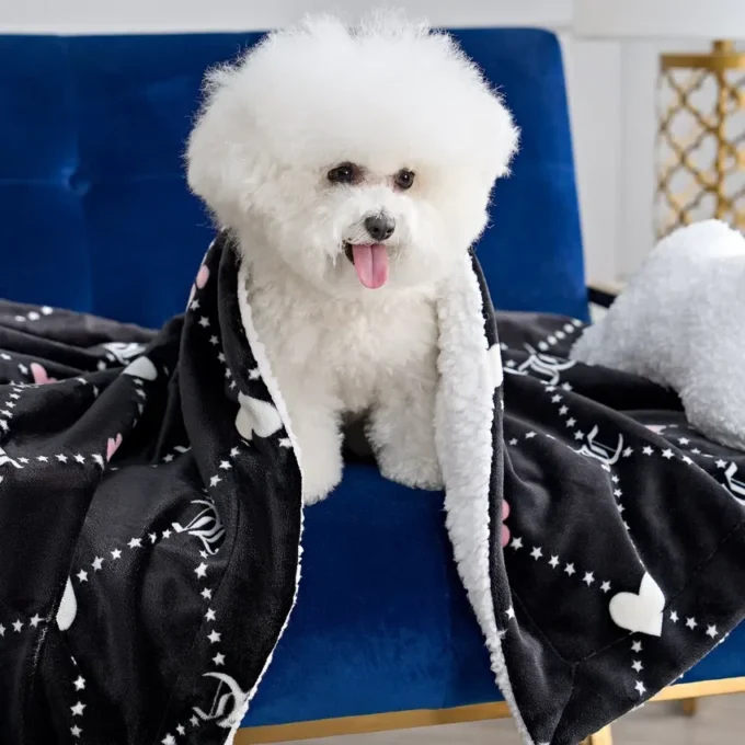 Pet Blanket & Pillow Set