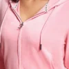 Plus-Size Og Big Bling Velour Hoodie